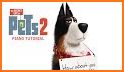 Life Of Pets 2 Gidget Keyboard Theme related image