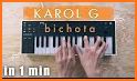 BICHOTA Kalor G Piano Game related image