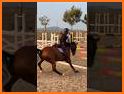 Mounted Horse Riding Show Jump related image