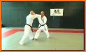 Kyokushin - Leg Techniques related image