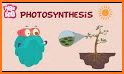 Photosynthesis related image