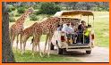 Fossil Rim related image