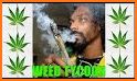 Weed Tycoon related image