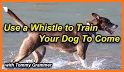 Dog Whistle & Puppy Training Apps related image