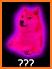 Doge Meme | Dance Sound Button related image