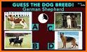 Dog Quiz Guess Dog Names Test ❓🐕⁉🐶❤ related image