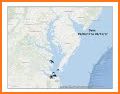 Chesapeake Dolphin Watch related image