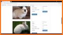 Rabbit Farm management app for Rabbit Breeders related image