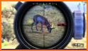 Deer Hunting Game - Free Hunting Games related image