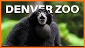 Denver Zoo - ZooMap related image