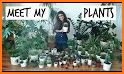 MyPlants related image