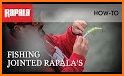 Rapala Fishing related image