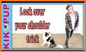 Training Dog Clicker Trinket related image