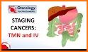 TNM Cancer Staging related image