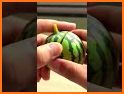 Watermelon Shooting Real Fruit related image