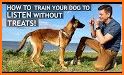 How to Train Your Dog related image