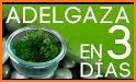 Recetas para Adelgazar related image