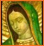 Virgin Of Guadalupe Among Roses Live Wallpaper related image