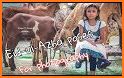 Bakra Eid Photo Frames 2019 related image