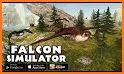 Falcon Simulator related image