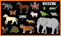 Animals for toddlers - Premium related image