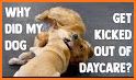 Puppy Salon - Daycare & Rescue Jobs related image