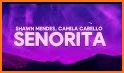 Camila Cabello Best Songs 2019 - Senorita related image