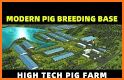 Pig Farm 3D related image