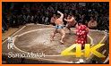 Sumo Run: Japanese Sumo Wrestler related image