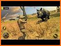 Wild Jungle Animal Hunter: Safari Hunting Games related image