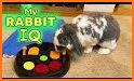 My Smart Bunny related image