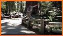 Sequoia National Park Guide related image