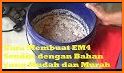 tips panduan bahan obat alami dari dapur ibu related image