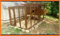 Chicken Coop Design related image