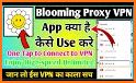 Blooming VPN related image