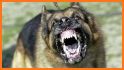 Barking Dog Sounds related image