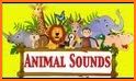 Animals for kids - sounds + pictures related image