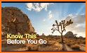 Hiking Guide: Joshua Tree related image