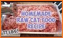 Cat food recipes – Homemade cat food related image