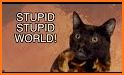 Cat World related image