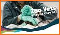 My Zoo Vet Practice related image