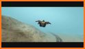 Wingsuit Paragliding- Flying Simulator related image