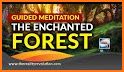 The Enchanted Forest related image