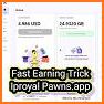 IPRoyal Pawns - Passive Way to Earn Money related image