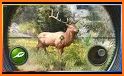 Hunting Clash: Hunter Games - Shooting Simulator related image