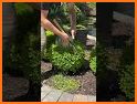 Topiary 3D - Garden Trimming related image