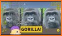 GORILLA SLOT INFINITY related image