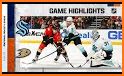 Anaheim Hockey - Ducks Edition related image