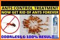 Ant Control related image