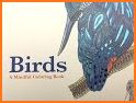 Birds Coloring Book related image